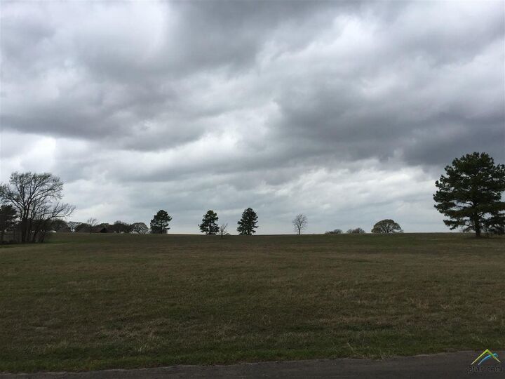 Property Photo:  15585 Cr 424 (Stallion Lake Ranch)  TX 75771 