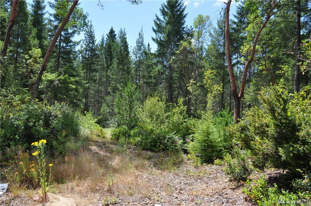 Property Photo:  950 NE Shoe Lake Road  WA 98588 