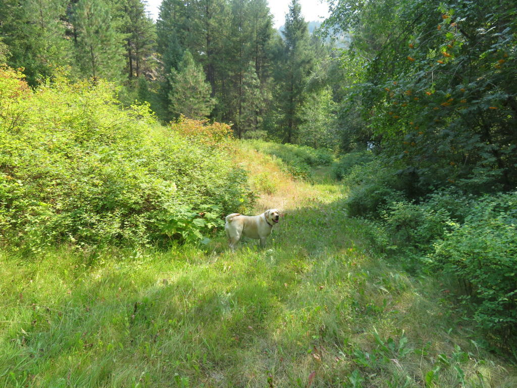 Property Photo:  189 Avonlea Ln  WA 99118 