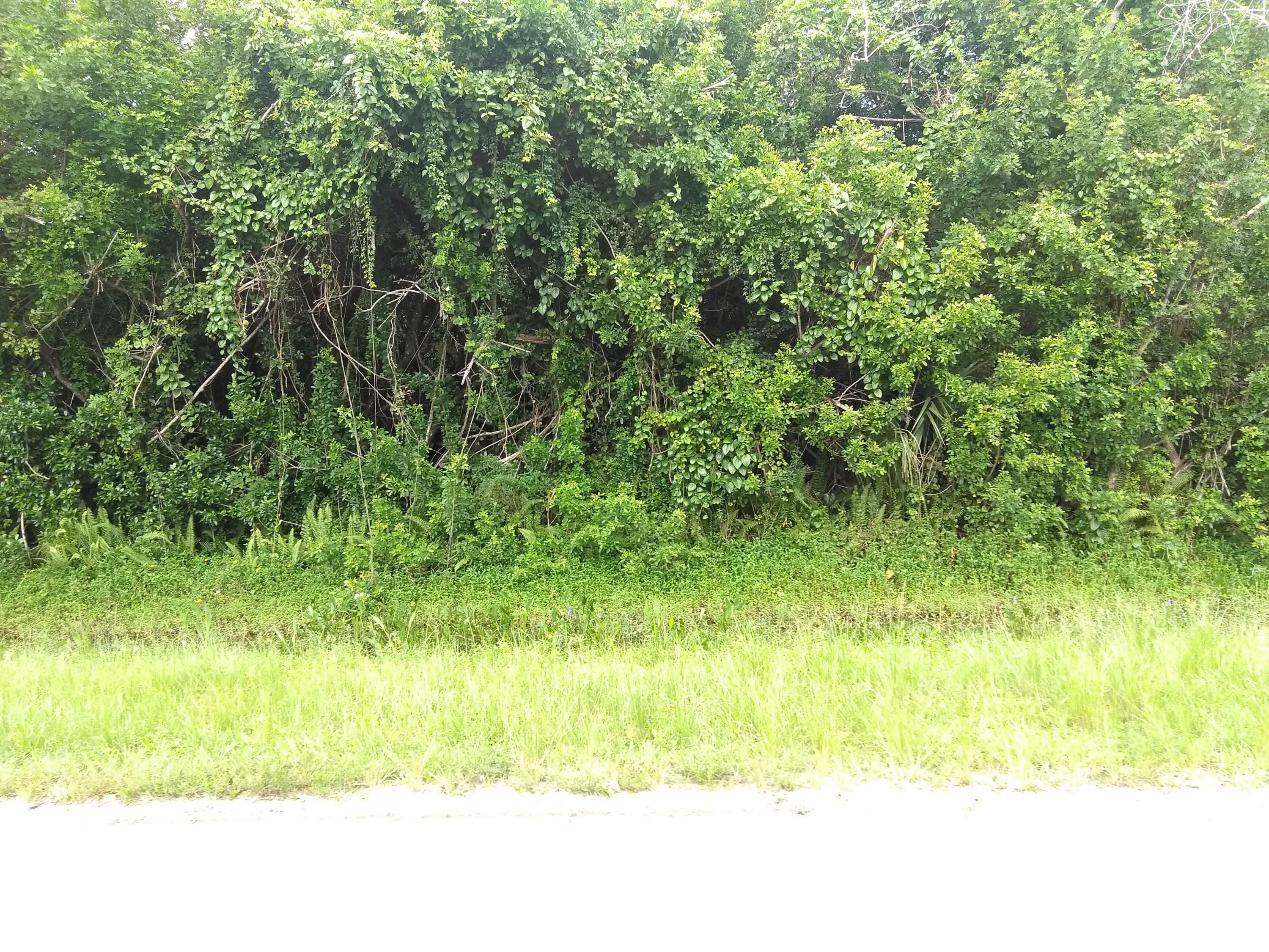 Property Photo:  0 97th Drive N  FL 33478 