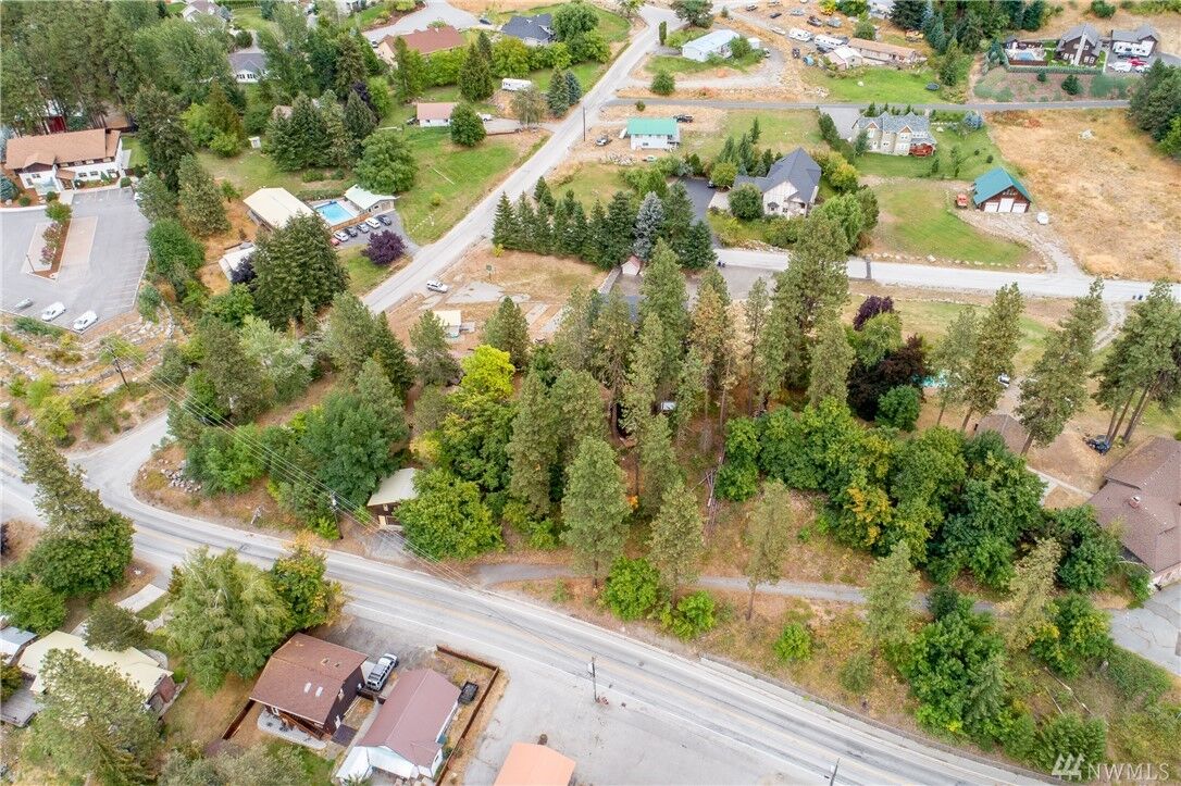Property Photo:  0 Dye Rd  WA 98826 