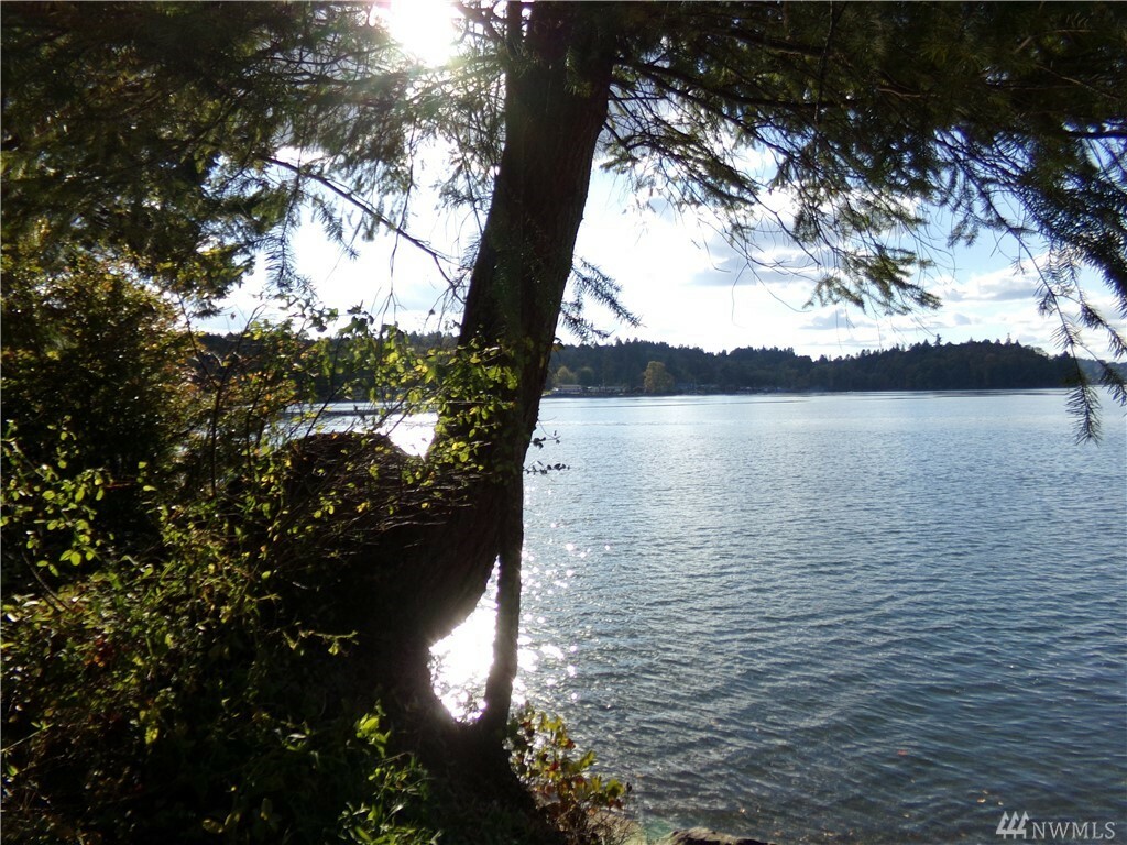 Property Photo: 40 E Cloud WA 98584