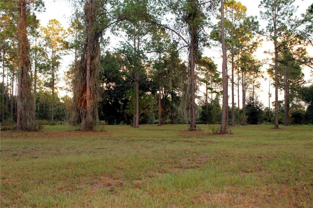 Property Photo:  Bonsmara Drive  FL 34736 