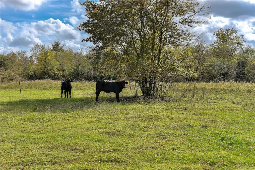 Property Photo:  612 County Road 202  TX 76520 