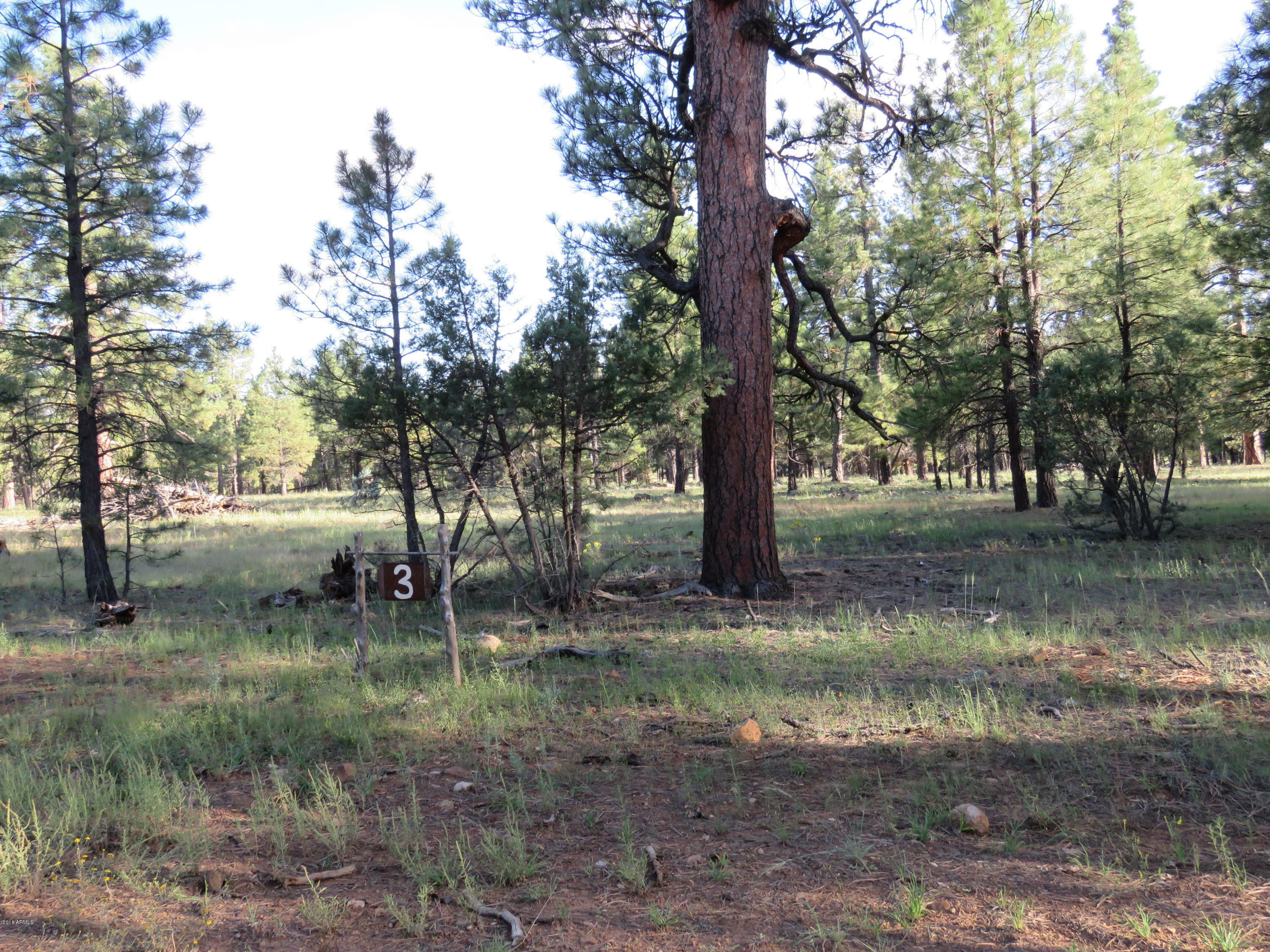 Property Photo:  22906 Fox Ranch Road  AZ 86017 