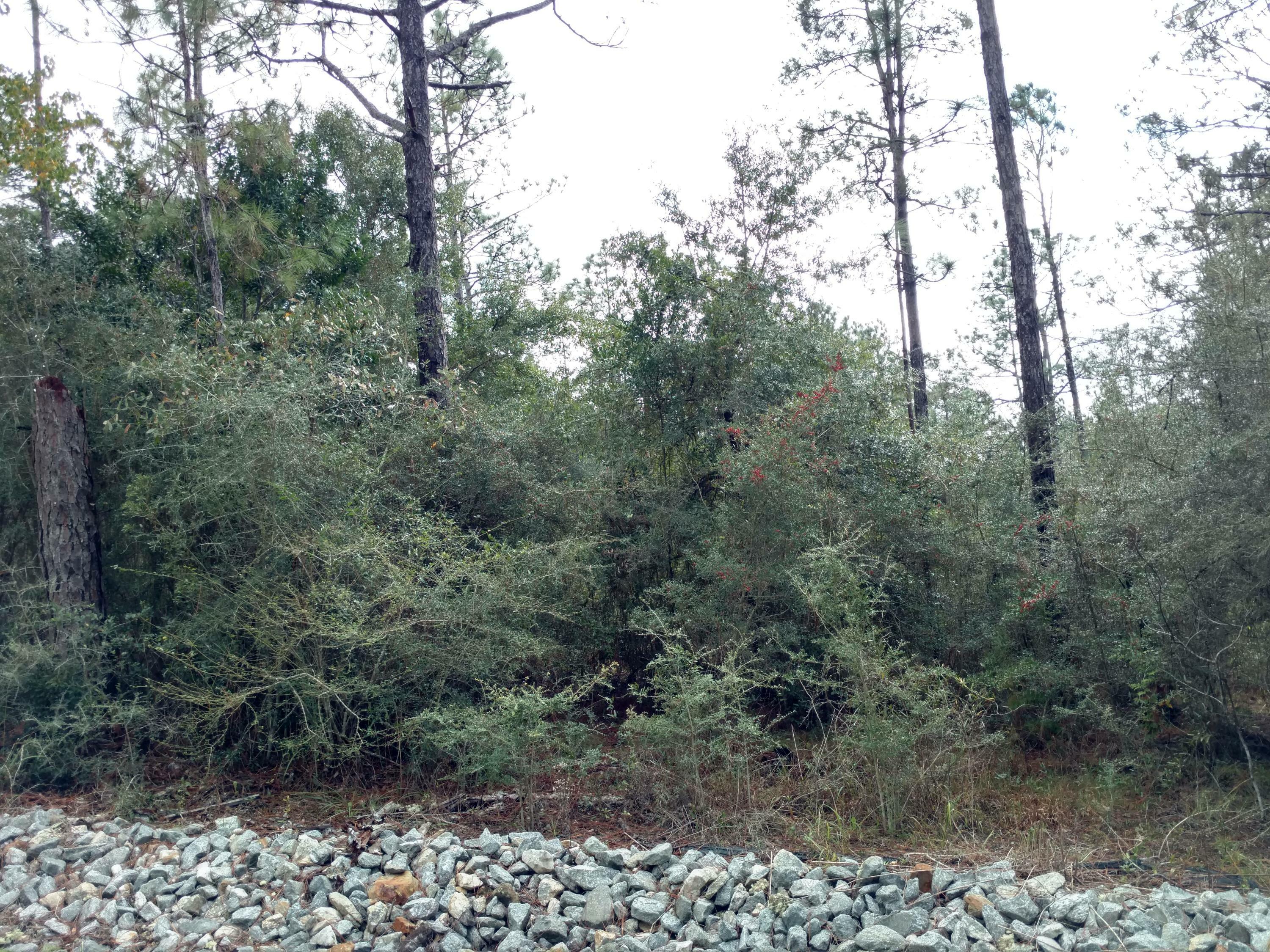 Property Photo:  00 Trout Drive  FL 32433 