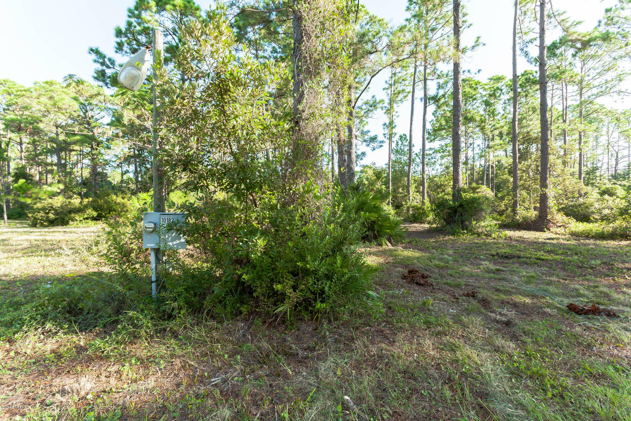 Property Photo:  10182 Shellcracker Road  FL 32226 