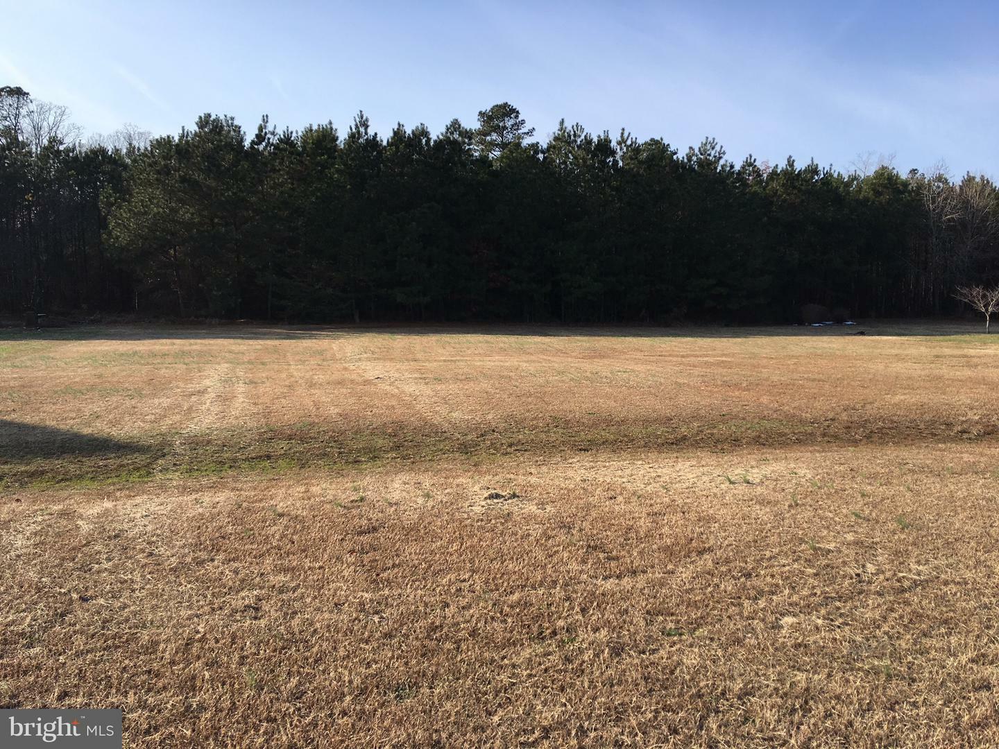 Property Photo:  Lot 5 Morgans Ridge Drive  MD 21875 