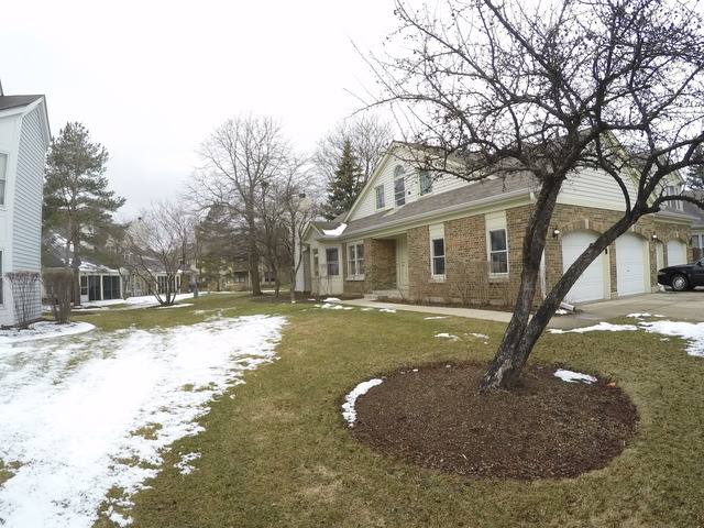 Property Photo:  216 Willow Parkway  IL 60089 