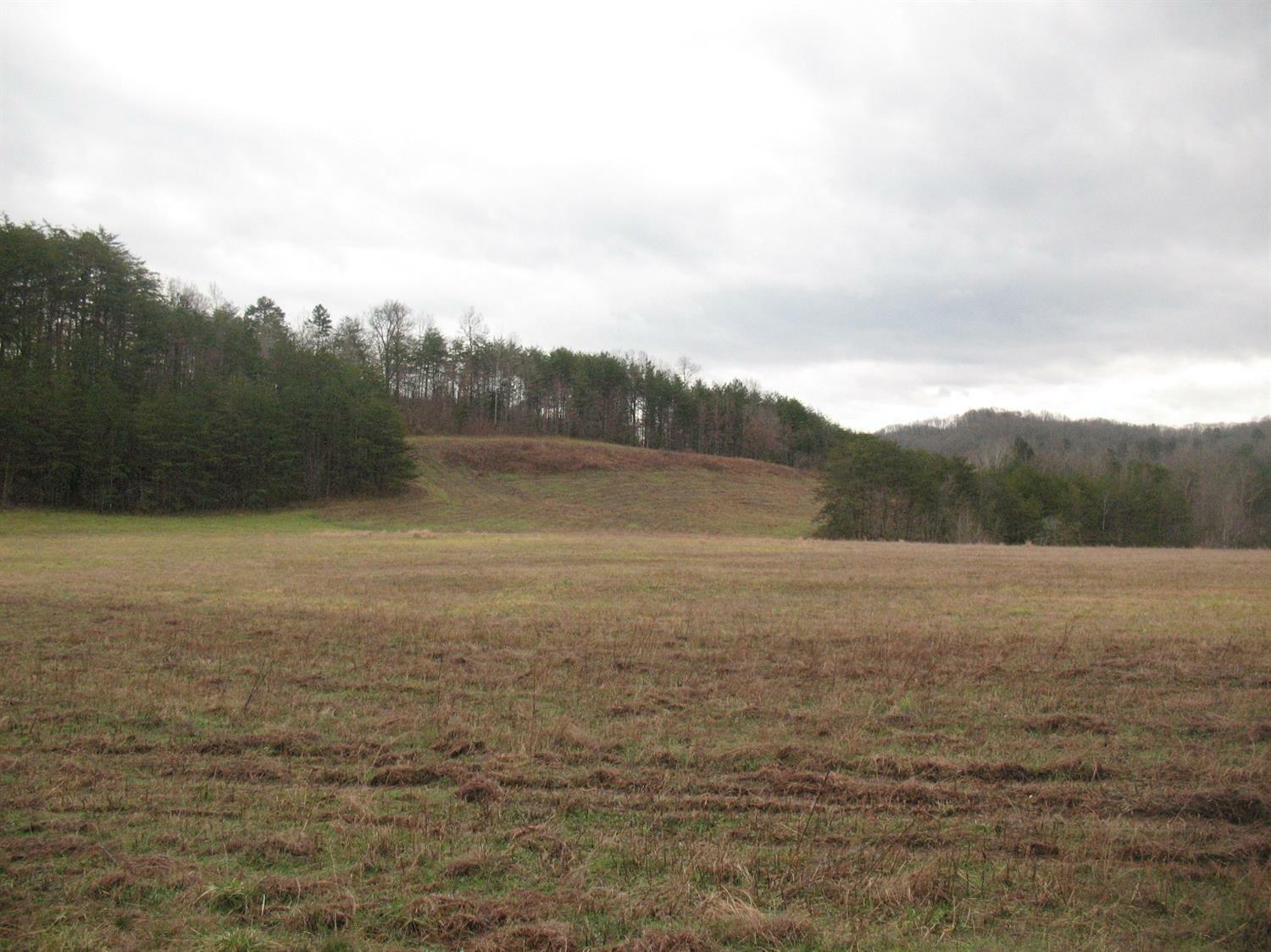 Property Photo:  1100 Lower Raccoon Creek  KY 40741 