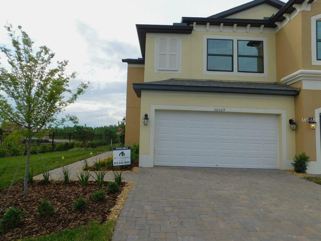 Property Photo:  30009 Southwell Lane  FL 33543 