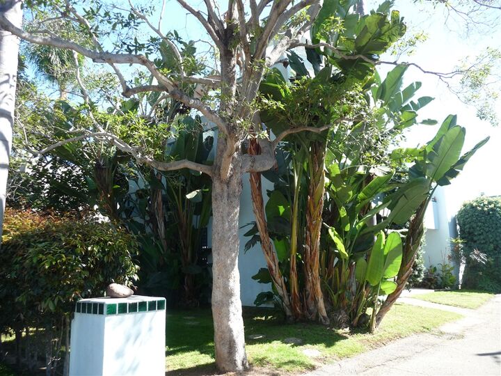 Property Photo: 249 E Glaucus A CA 92024