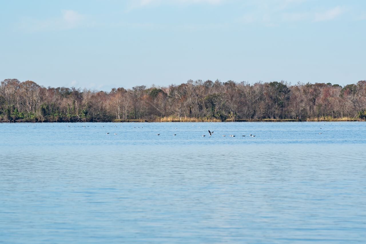 Property Photo:  101 Commercial  FL 32131 