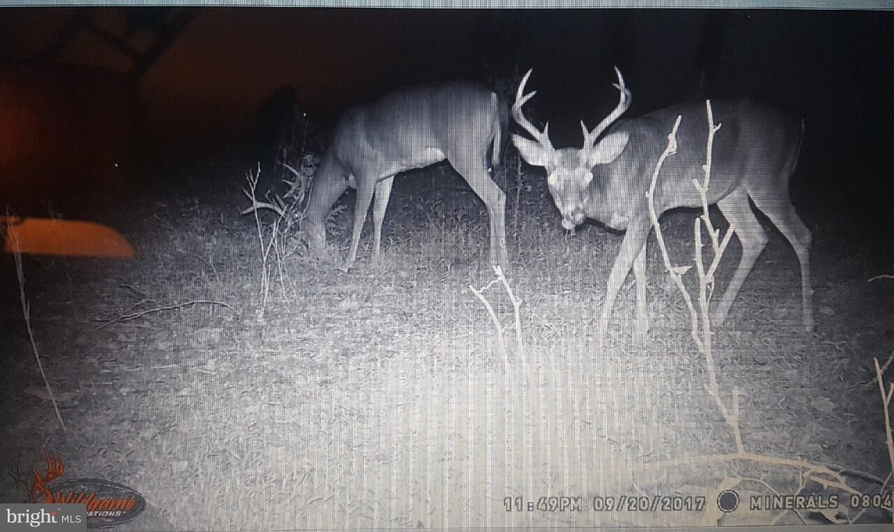 Property Photo:  12063 Cove Road  MD 21722 