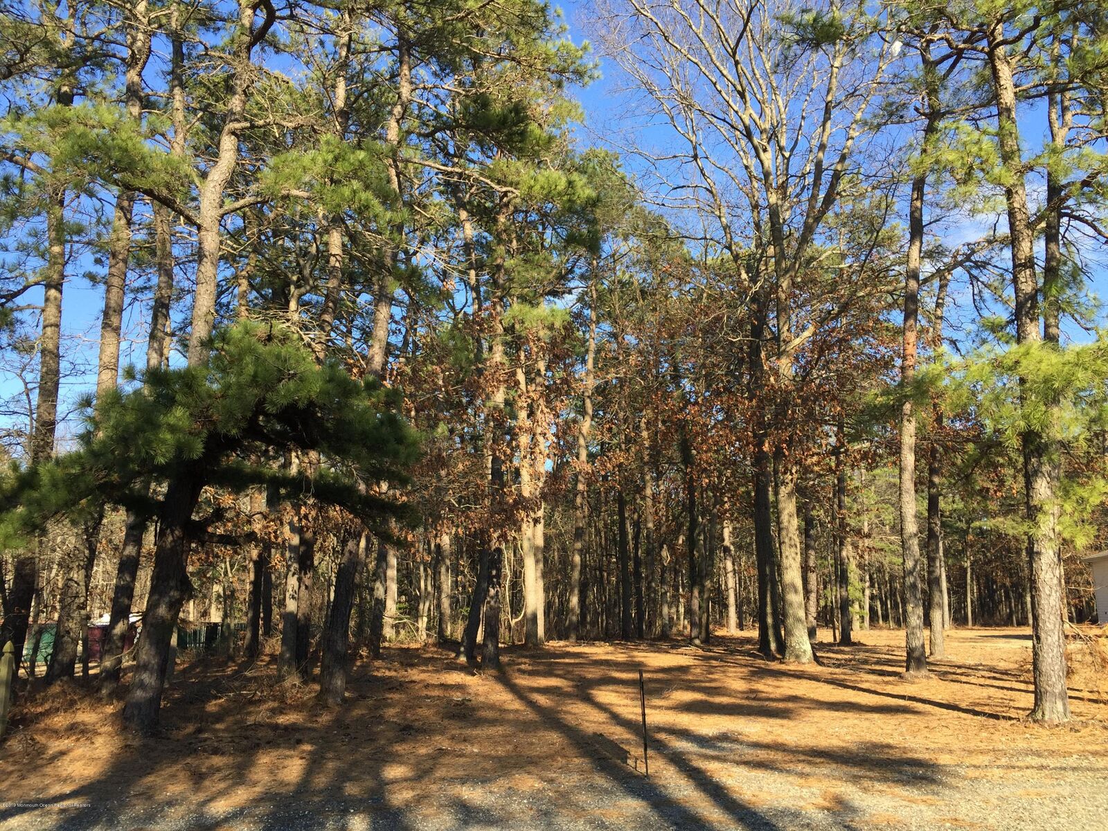 Property Photo:  299 Roosevelt Avenue  NJ 08721 