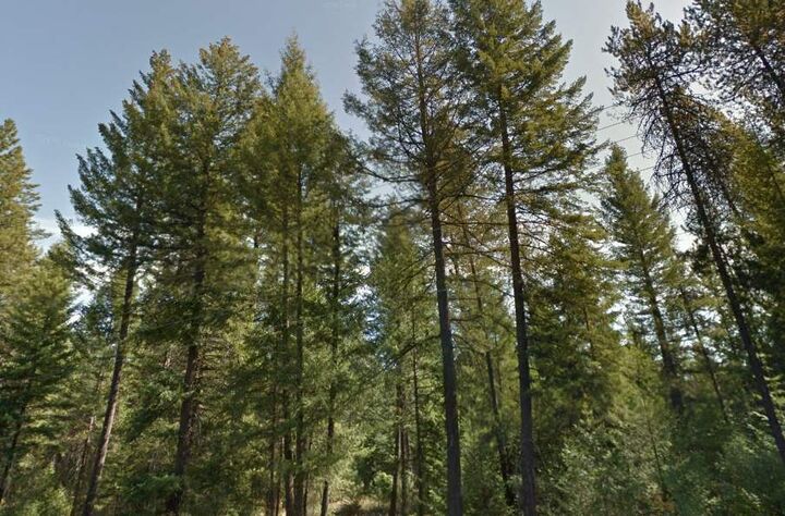 1902 E Deer Park Milan Rd  Deer Park WA 99006 photo