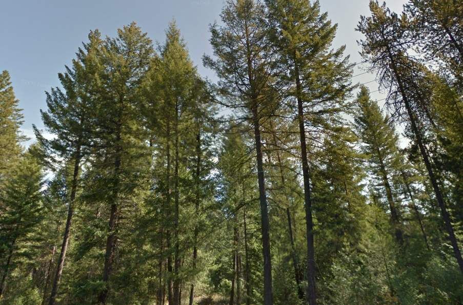 Property Photo: 1902 E Deer Park Milan Rd WA 99006