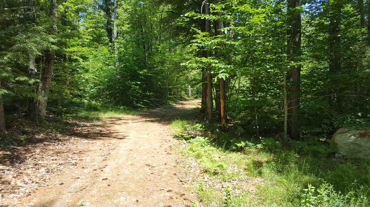 Property Photo: 000 North Sandwich Road NH 03227