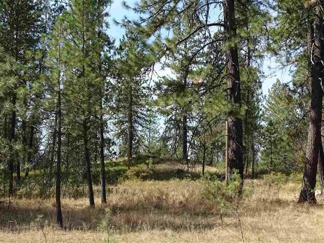 Property Photo:  000 E Bridges Rd Parcel#49113.9027-Left Of 14215  WA 99009 