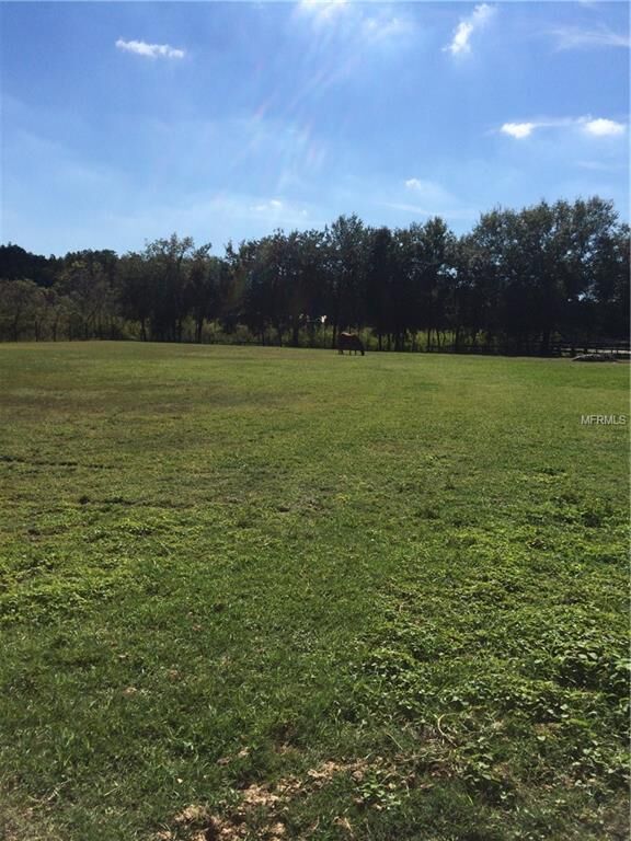Property Photo: Innfields Drive FL 33556