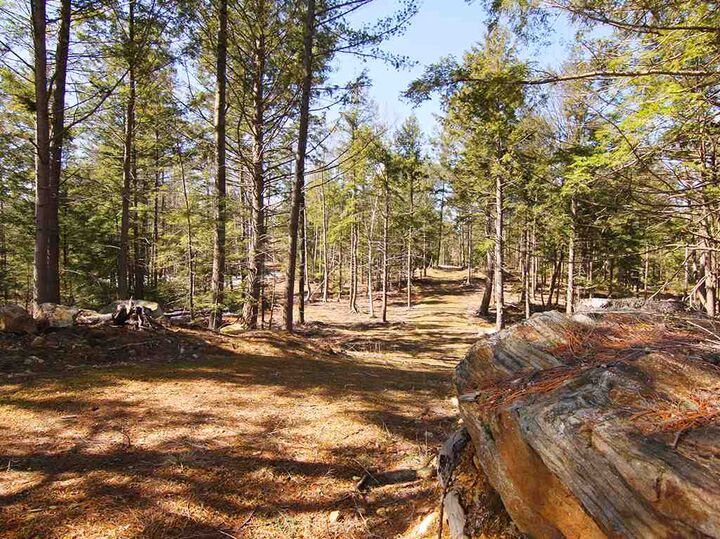Property Photo: 99 Murphy Road NH 03458