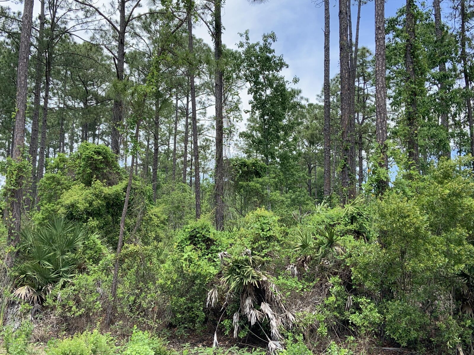 Property Photo:  122 &Amp 120 Pineshore Road  FL 32189 