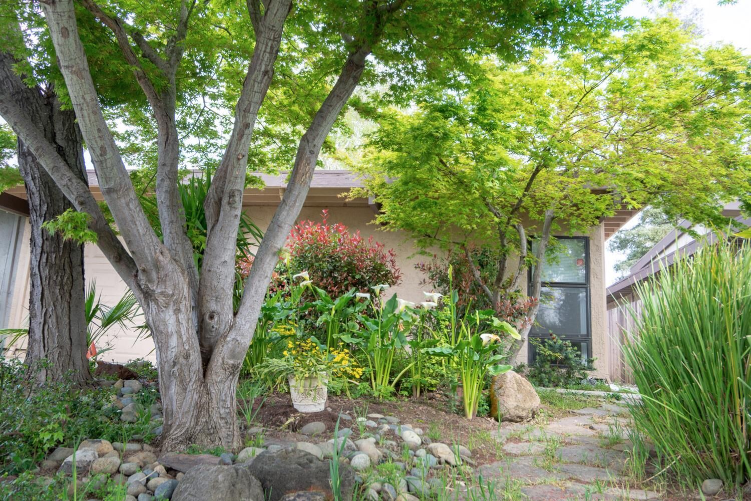 Property Photo:  10 Blue Heron Court  CA 95833 