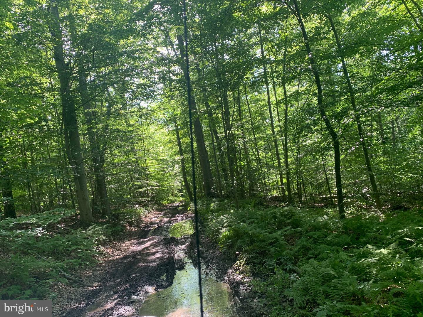 Property Photo:  1875 Cold Springs Road  PA 17320 