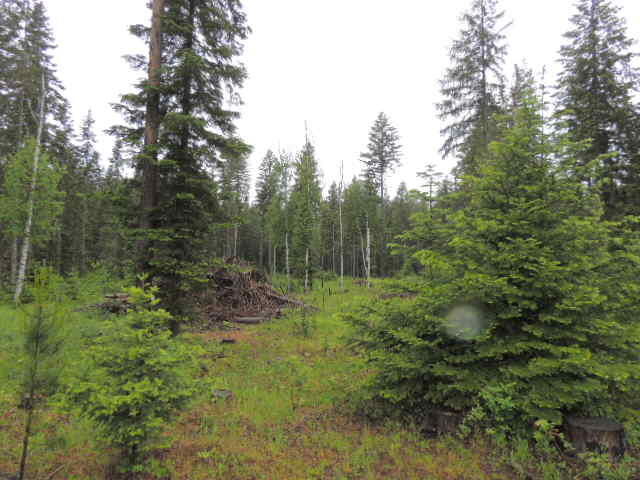 Property Photo:  Xxx Fir Dr  WA 99119 