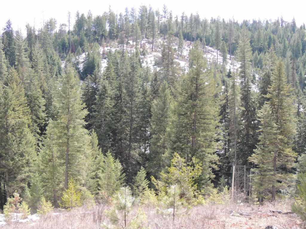 Property Photo: 20311 E Temple Rd WA 99025