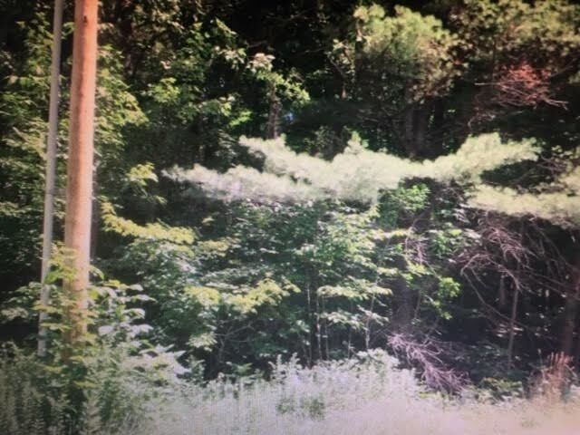 Property Photo: 0 Baker Turn Road 0 VT 05059