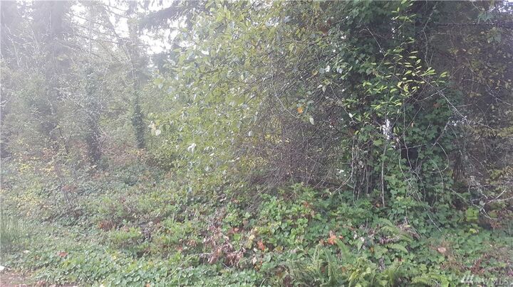 Property Photo:  11921 Sanford St SE  WA 98589 