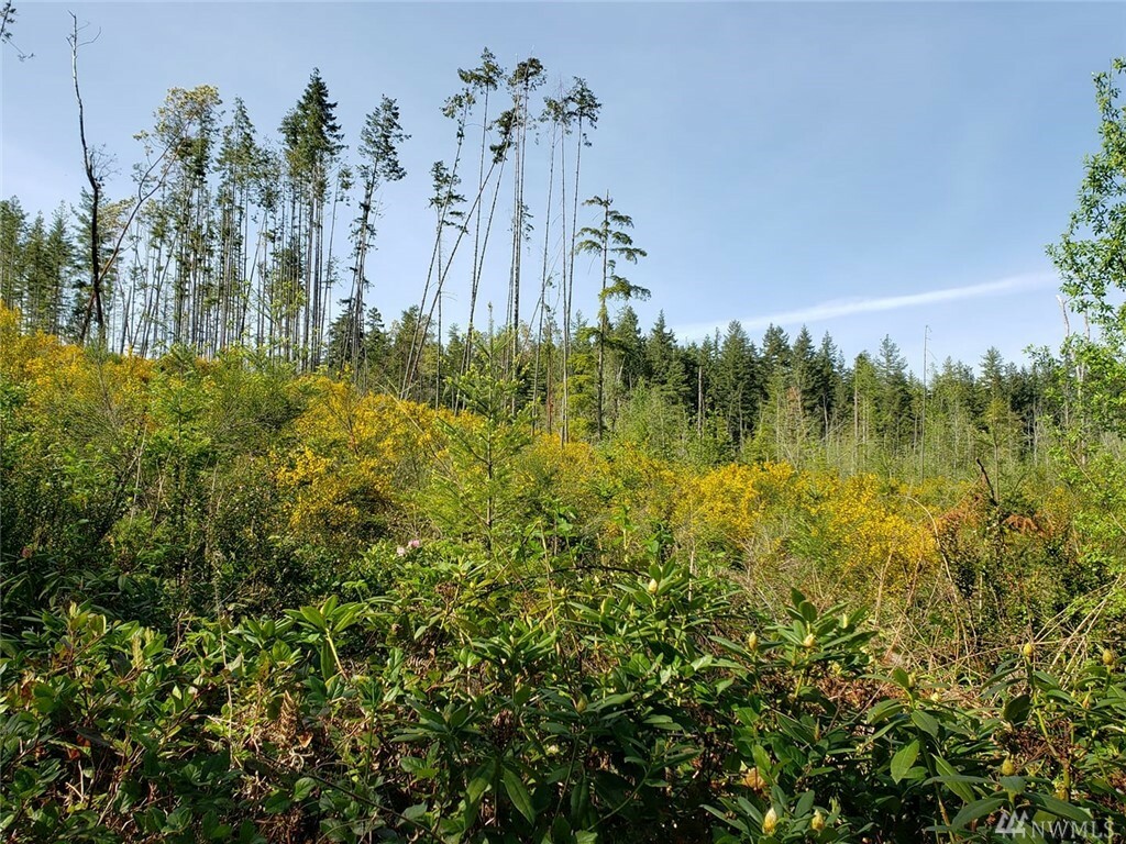 Property Photo: Lot Xxxx Rd WA 98383