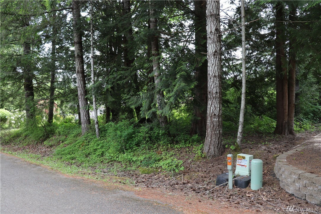 Property Photo: 40 SE Barberry Ct WA 98584