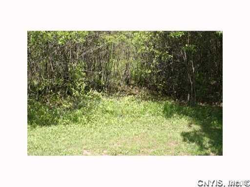 Property Photo:  0000 Split Rock Road  NY 13031 