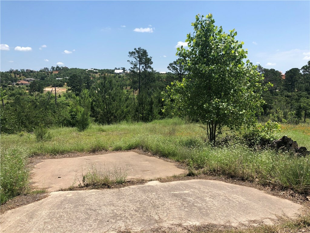 Property Photo: 122 Mamalu Drive TX 78602