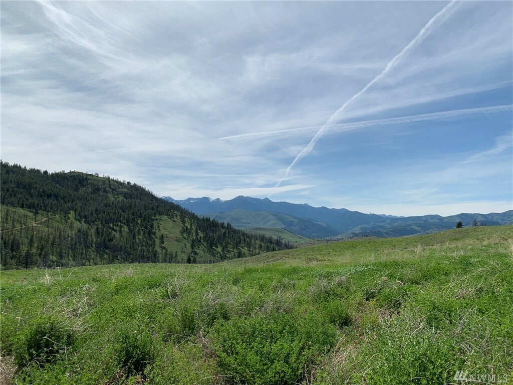 Property Photo:  559 Texas Creek Rd  WA 98856 