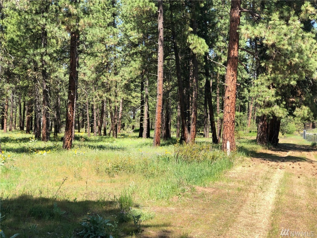 Property Photo:  3581 Hwy 970 (Lot D3)  WA 98922 