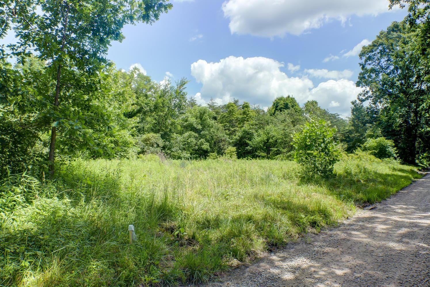 Property Photo:  Lot E Knox Road  OH 43138 
