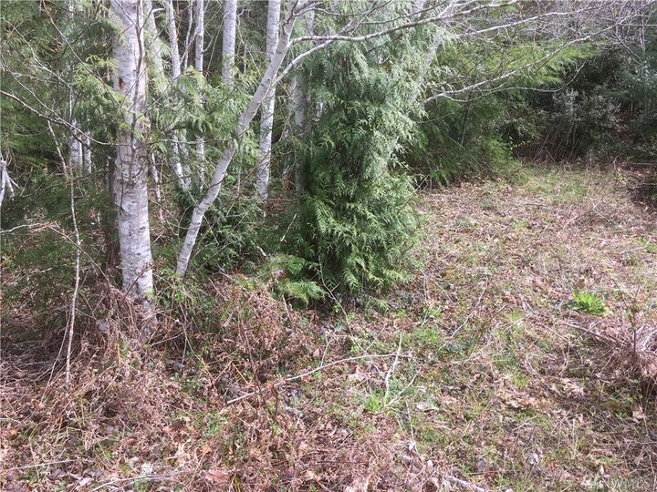 Property Photo: 1123 E Sunset Hill Rd WA 98584