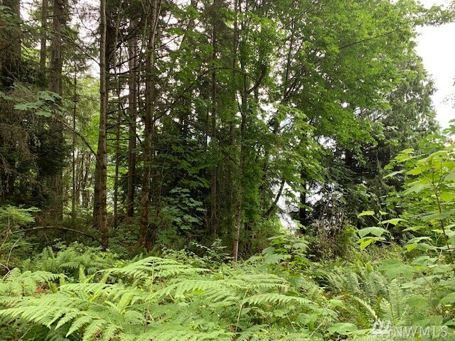 Property Photo: 0 143rd St NW WA 98335