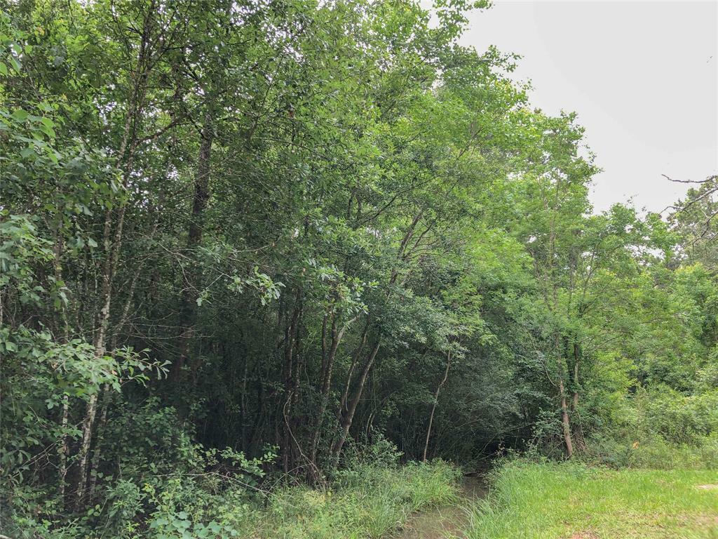 Property Photo: 0 Rustling Oaks Dr TX 77301