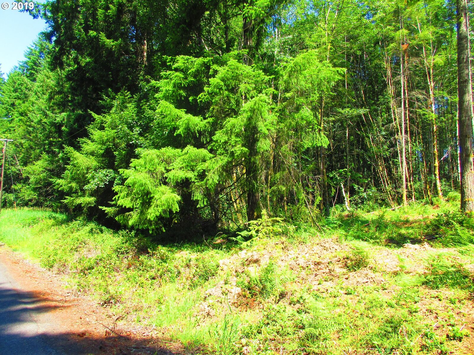 Property Photo:  Warren Tax Id 20469 Rd  OR 97048 