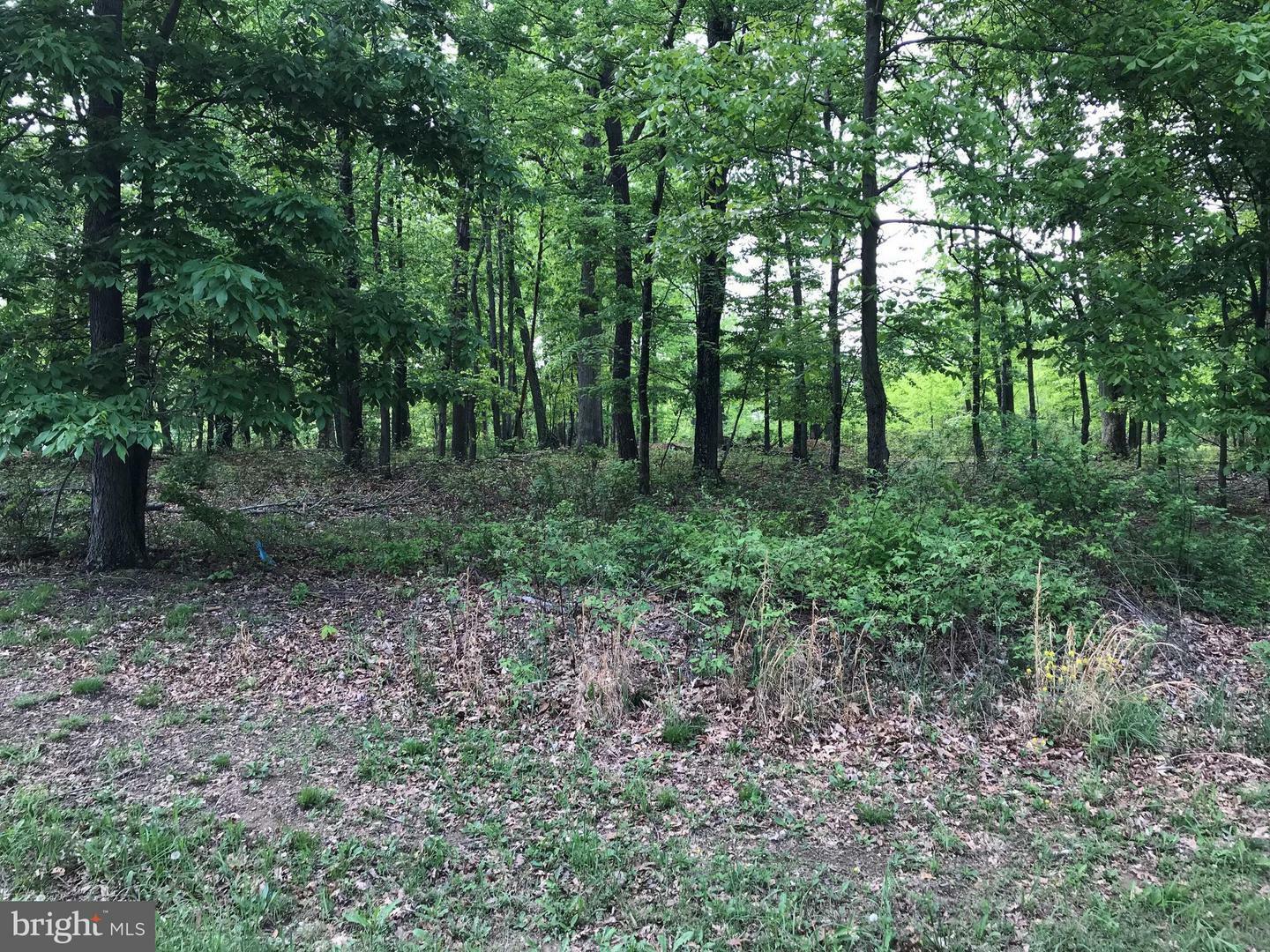 Property Photo: Lawyer Lane WV 25411