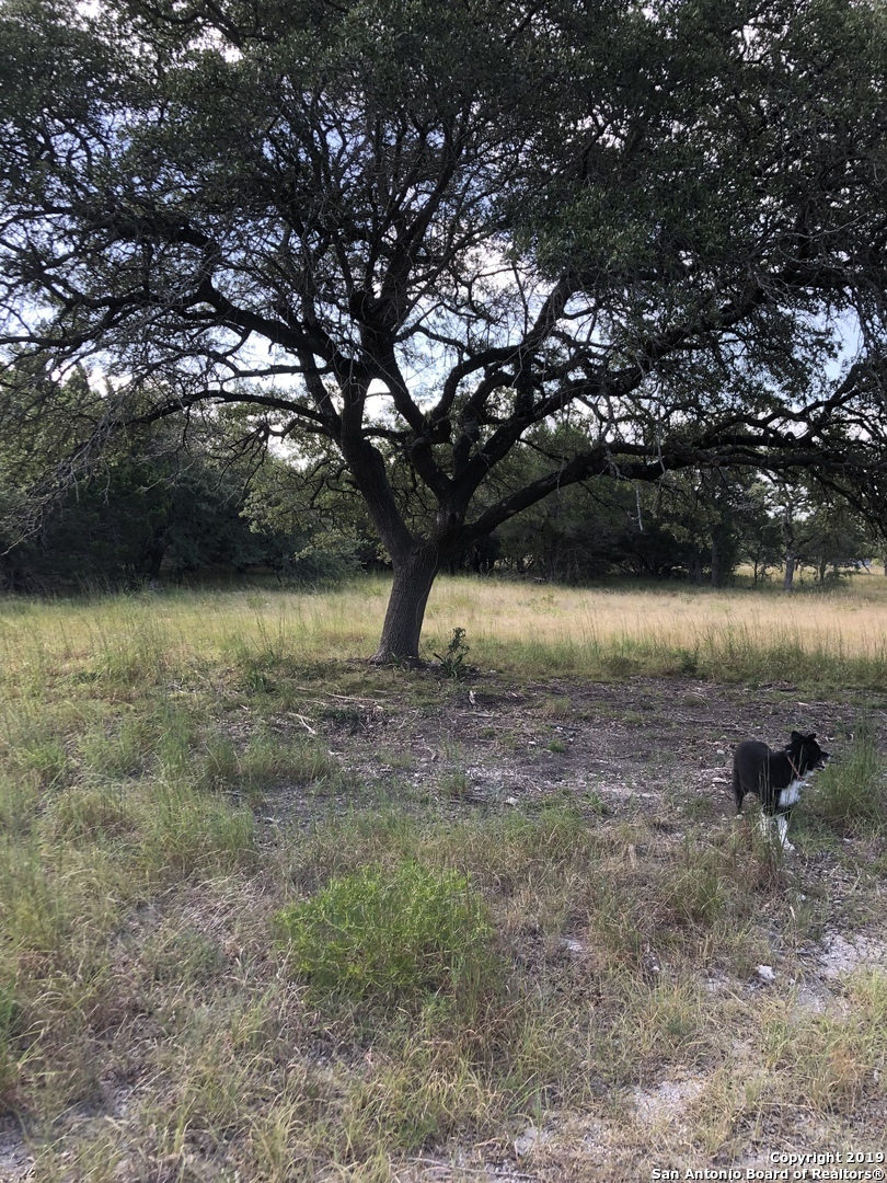 Property Photo:  208 E Headwaters Ranch Rd  TX 78027 