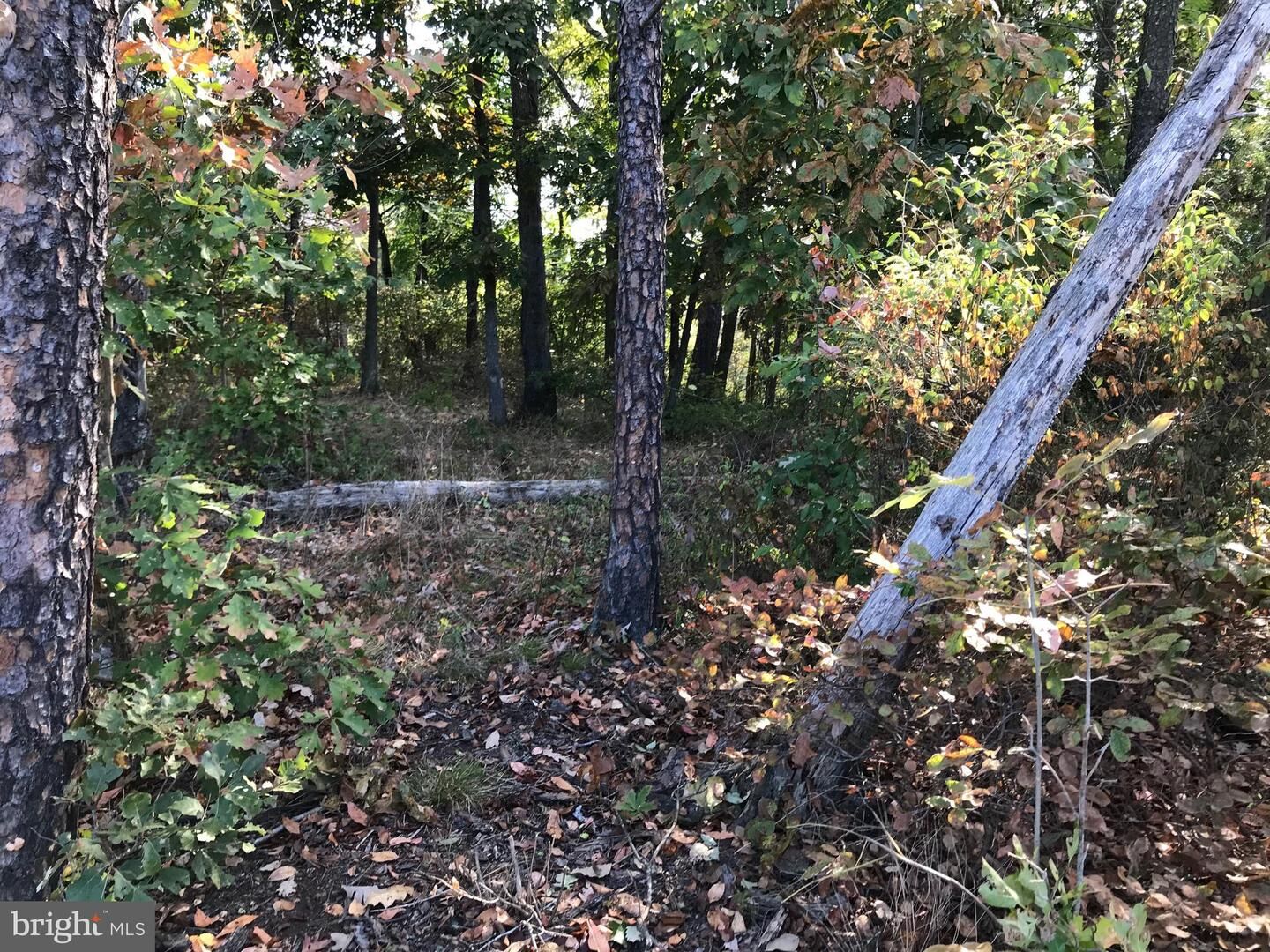 Property Photo:  10006 Carrington Court  MD 21502 