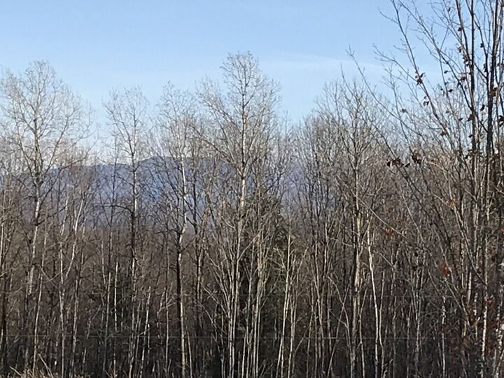 Property Photo:  00 Brigham Hill Lane  VT 05452 