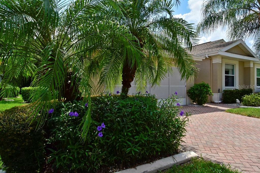 Property Photo:  750 McDaniel Street  FL 33573 