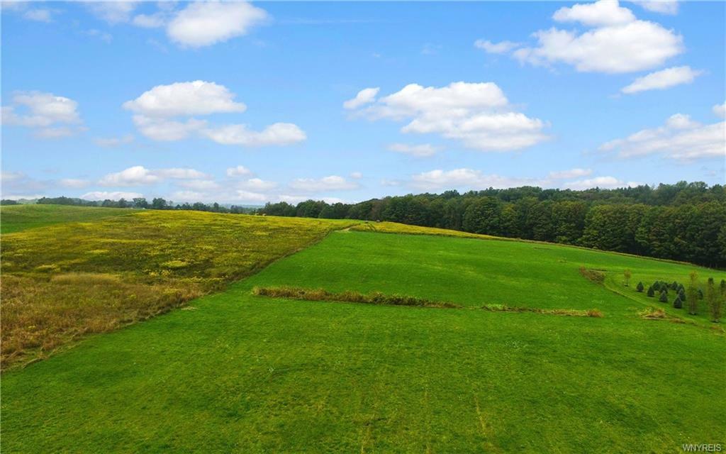 Property Photo:  1701 Boies Road  NY 14052 