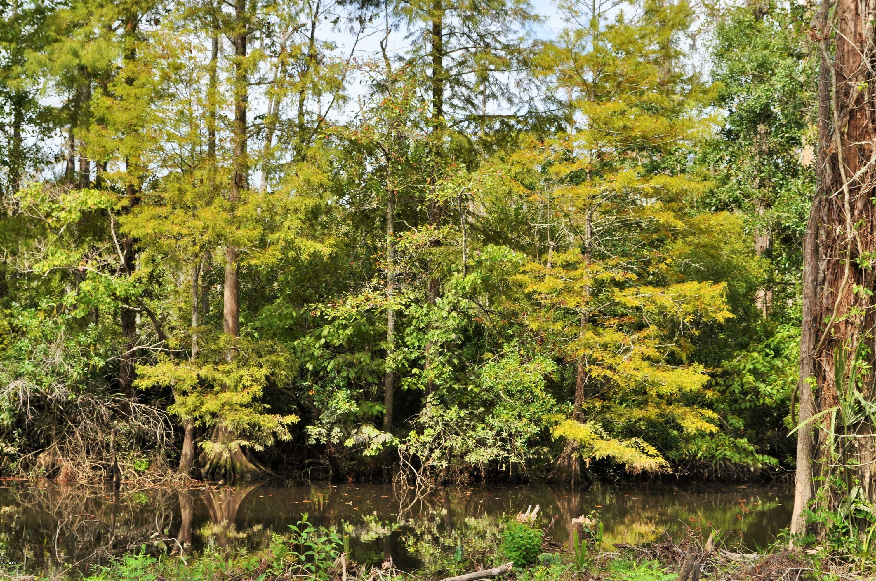 Lot 47 Lowtide  Moss Point MS 39562 photo